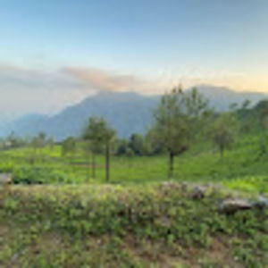 Meet your Posher, Leela